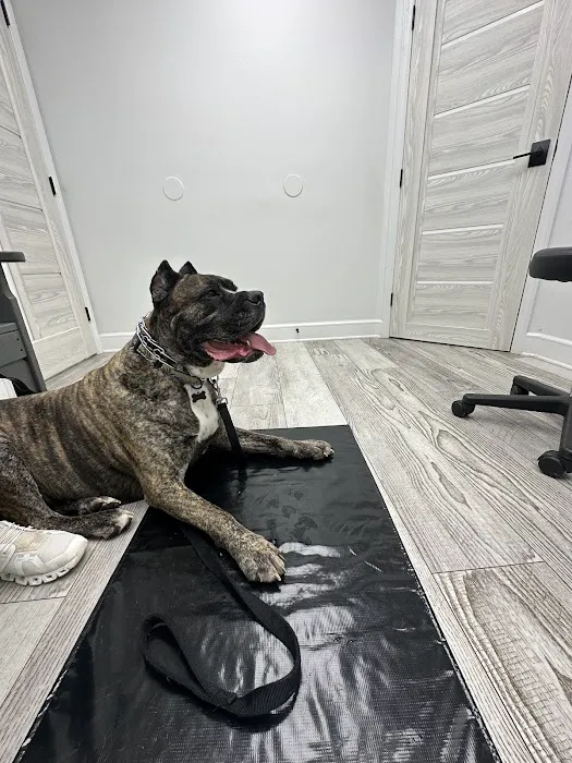 Animal Eye Clinic - Huntersville 2