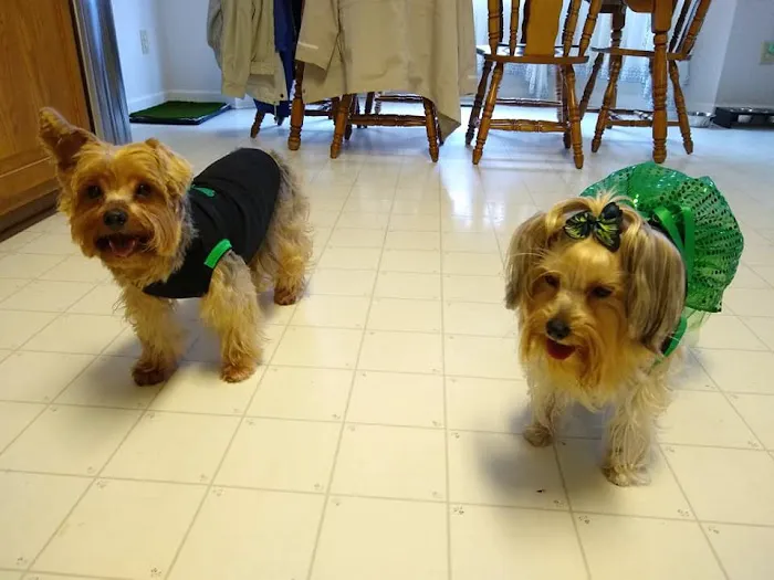 Coddle Creek Animal Hospital 5