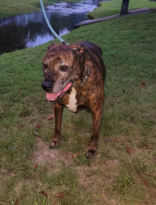 Coddle Creek Animal Hospital 8