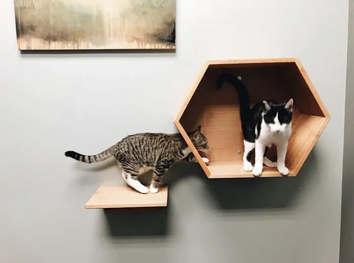 Irvington Veterinary Clinic 5