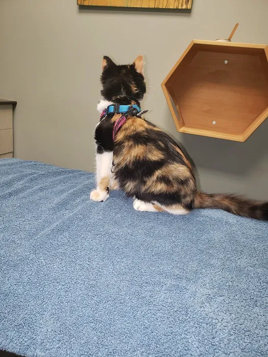 Irvington Veterinary Clinic 4