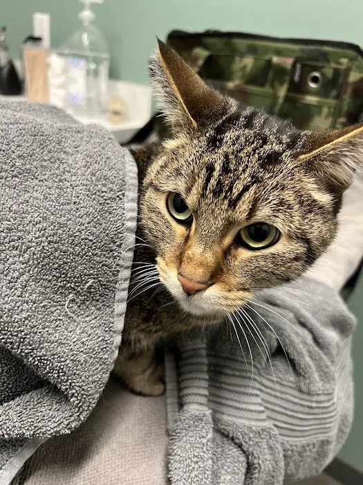 Grateful Heart Veterinary Hospital 7