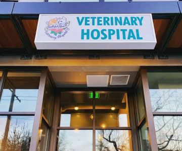Grateful Heart Veterinary Hospital