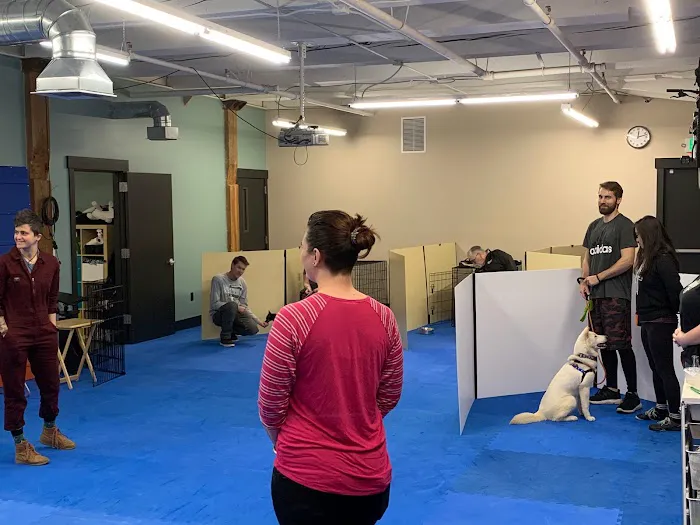 Synergy Veterinary Behavior 3