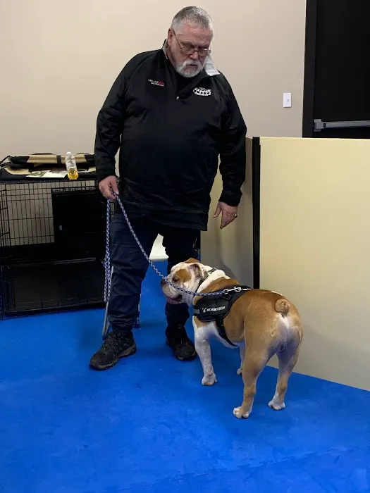 Synergy Veterinary Behavior 2