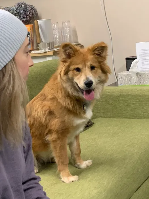 Synergy Veterinary Behavior 1
