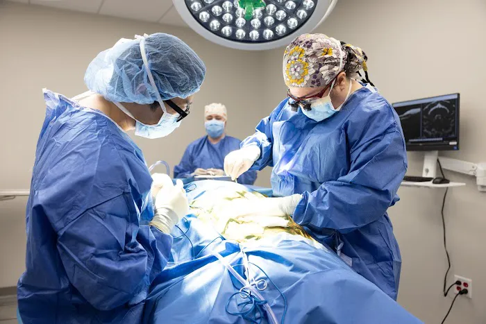 DoveLewis Specialty Care 12