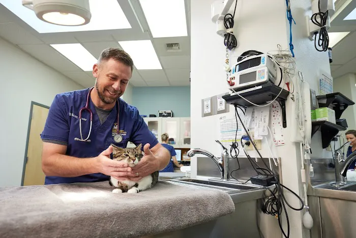 Northwest Neighborhood Veterinary Hospital 3