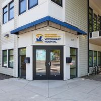 Northwest Neighborhood Veterinary Hospital ico