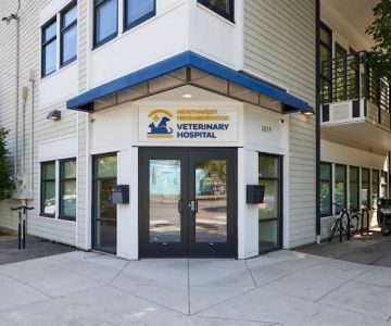 Northwest Neighborhood Veterinary Hospital