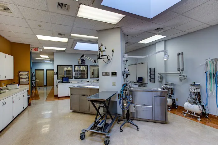 Northwest Neighborhood Veterinary Hospital 8