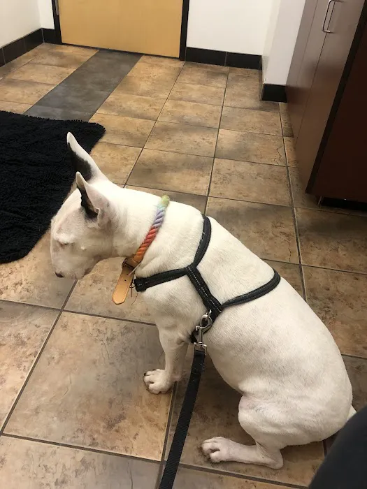 Cathedral Animal Hospital 7