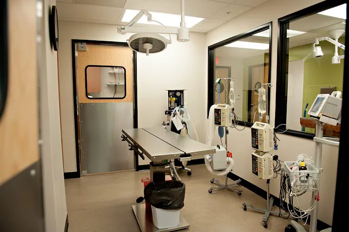 Heartfelt Veterinary Hospital 2