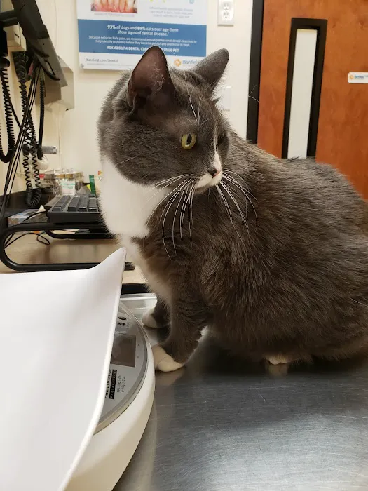 Banfield Pet Hospital 6