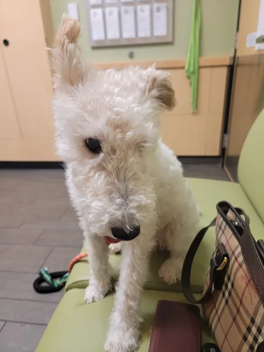 Banfield Pet Hospital 2