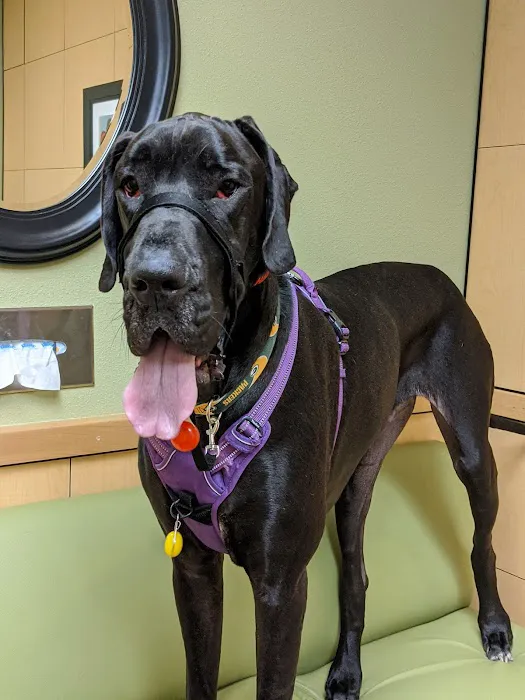 Banfield Pet Hospital 3