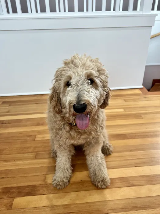 Banfield Pet Hospital 4