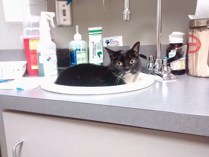 Broadway Veterinary Clinic 9