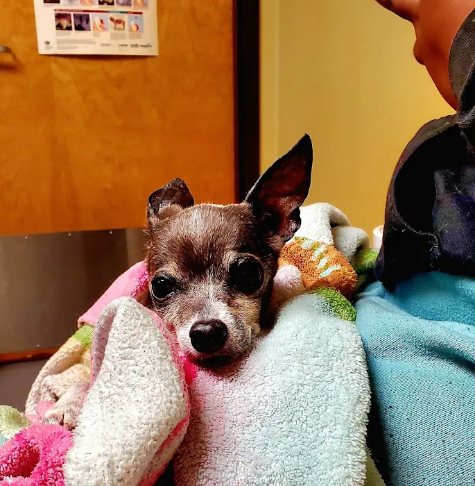 Broadway Veterinary Clinic 8