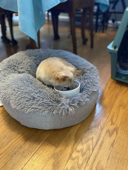 Broadway Veterinary Clinic 5