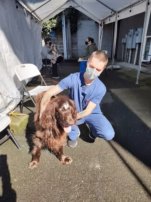 Broadway Veterinary Clinic 7