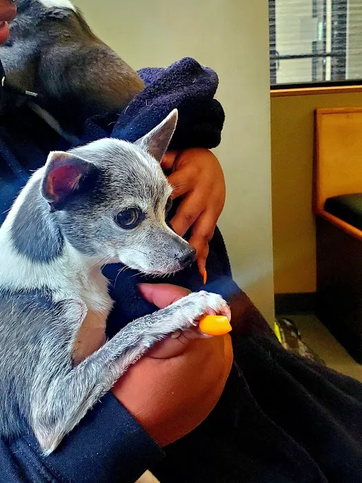 Broadway Veterinary Clinic 2