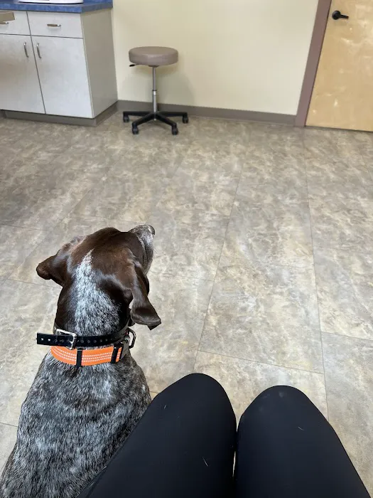 Whipple Creek Veterinary Hospital 12