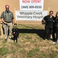 Whipple Creek Veterinary Hospital ico