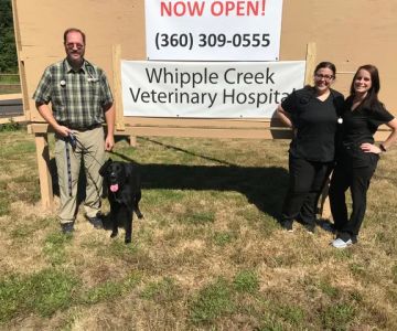 Whipple Creek Veterinary Hospital