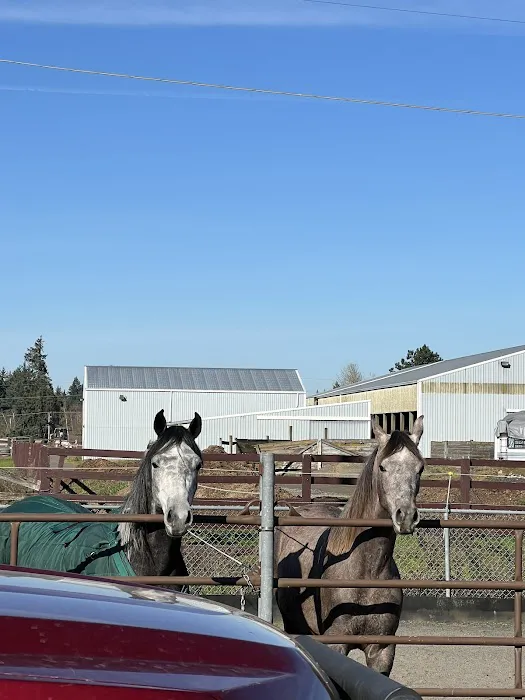 Ridgefield Equine Clinic 12