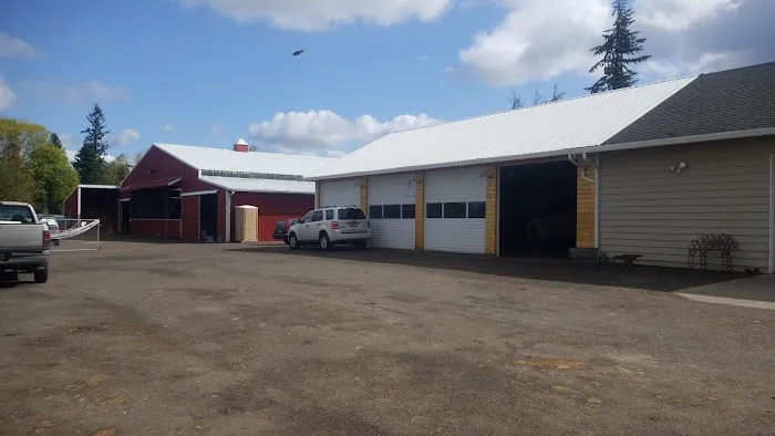 Ridgefield Equine Clinic 12