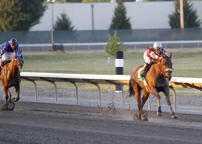 Ridgefield Equine Clinic 12