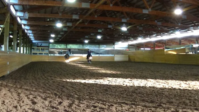 Ridgefield Equine Clinic 12