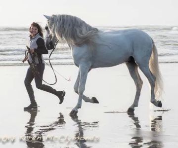 Ridgefield Equine Clinic