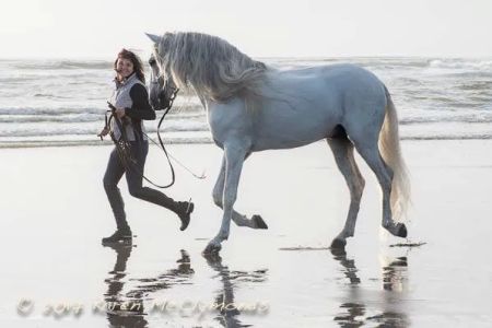 Ridgefield Equine Clinic