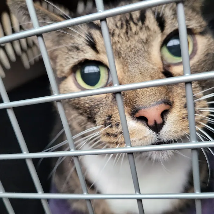 Banfield Pet Hospital 12
