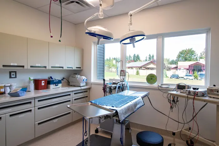 Hearthwood Veterinary Hospital 12