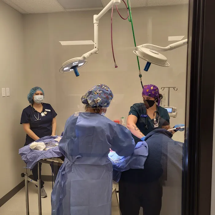 Horizon Veterinary Care 12