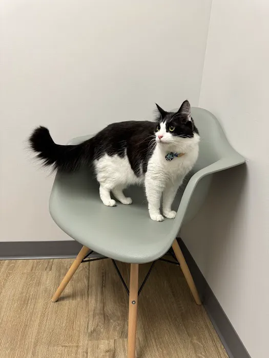 Horizon Veterinary Care 12