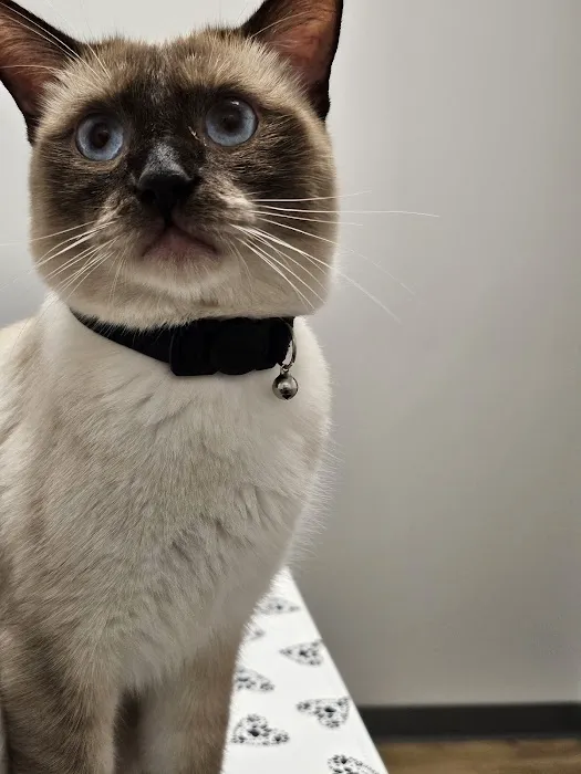 Horizon Veterinary Care 12