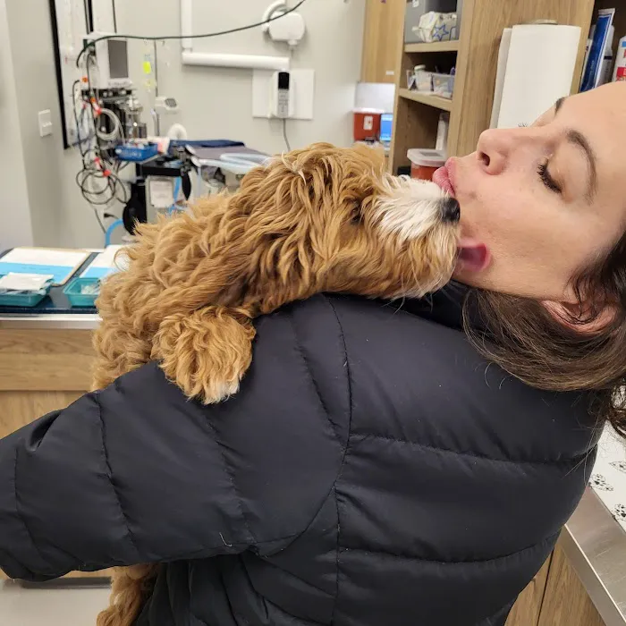 Horizon Veterinary Care 12