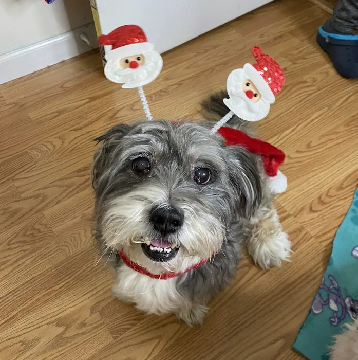 Pacific Northwest Pet ER & Specialty Center 12