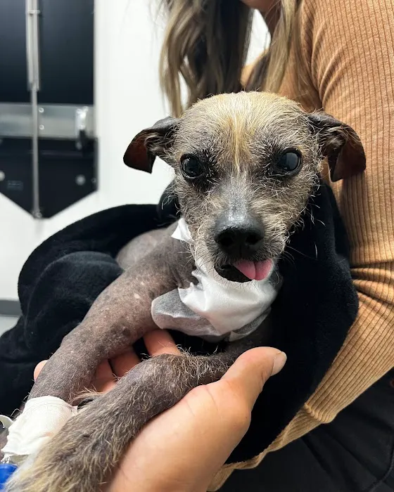 Pacific Northwest Pet ER & Specialty Center 12