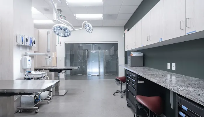 Pet Dental Specialists 12