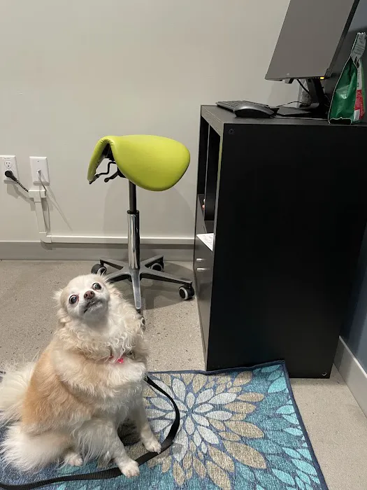 Pet Dental Specialists 12