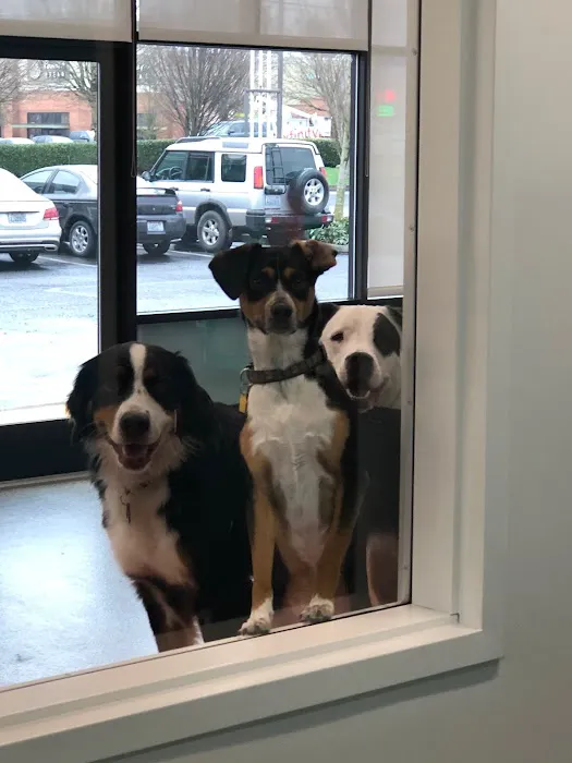 WellHaven Pet Health Mill Plain 12