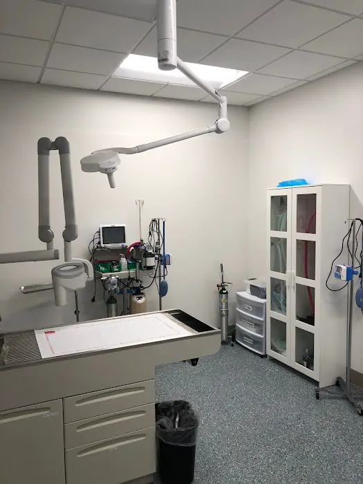 WellHaven Pet Health Mill Plain 12