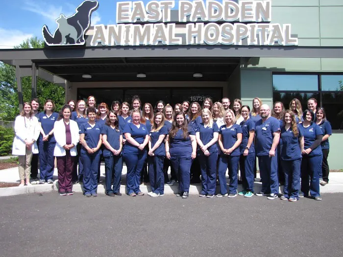 East Padden Animal Hospital 7