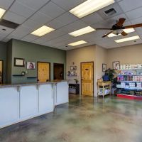 East Padden Animal Hospital ico