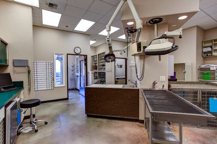 East Padden Animal Hospital 9
